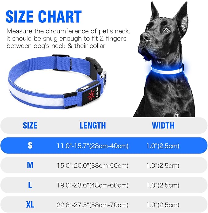 Illumifun LED Collar for Dogs, USB Rechargeable Light Up Dog Collars Glow in The Dark (Blue, Small)