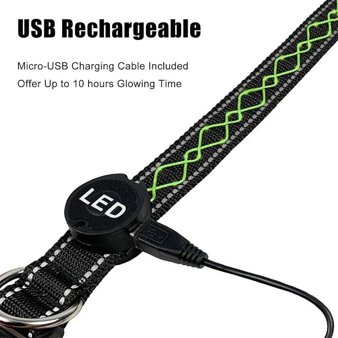 Luwint Stylish Light Up Dog Collar, LED Dog Collar USB Rechargeable - Safety Glow in The Dark for Night Walking & Camping | Adjustable, Waterproof, High Visibility Green