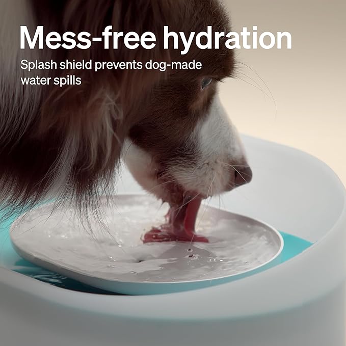 PETLIBRO Dog Water Fountain, 2.1Gal/8L Capsule Dog Fountain for Medium to Large Dogs, Anti-Splash Dog Water Bowl Dispenser, Super Quiet Pet Water Fountain, Great for Dogs Cats and Multi-Pet Home