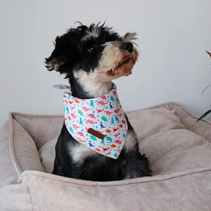Dinosaur Dog Bandana - Comfortable Cotton Triangle Bid Scarf for Medium Large Dogs - Washable Pet Kerchief for Boys and Girls - Colorful Cute Classic Dinosaur Design