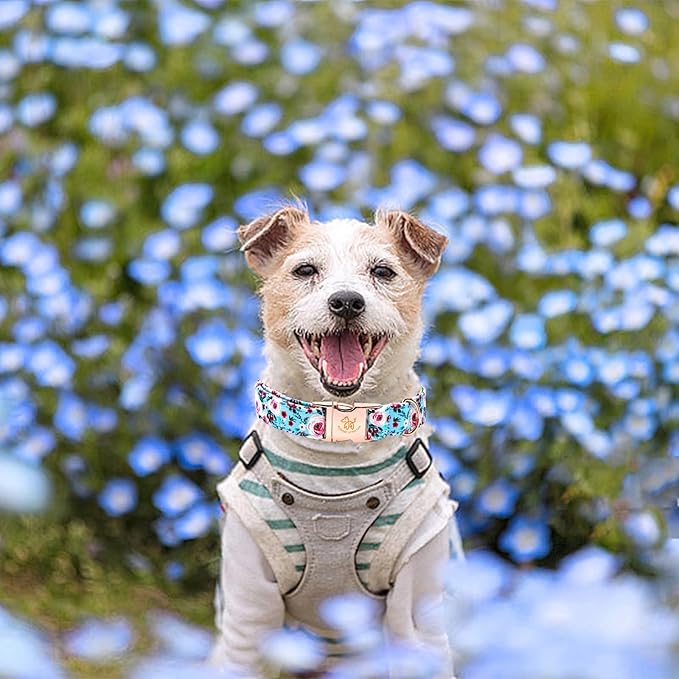 Elegant Pink Floral Print Summer Dog Collar - Cotton, Durable, Metal Buckle for X-Small Dogs