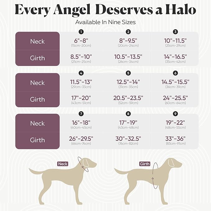 Muffin’s Halo® – The Original Blind Dog Halo | Harness & Bumper Collar Accessory for Safe Navigation & Confidence – Black, Size 4