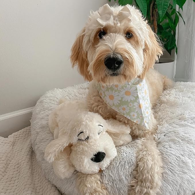 Original Snuggle Puppy Heartbeat Puppy Toy - Heartbeat Puppy for Dogs - Pet Anxiety Relief and Calming Aid - Comfort Dog Toy - Behavioral Training and Sleep Aid Cuddle buddy - Crate Training Essential