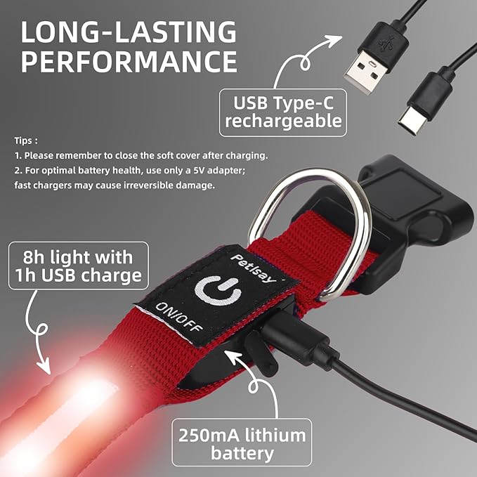 LED Dog Collar for Small Dogs Cats - Fully Waterproof & Adjustable Glow Collar - USB-C Rechargeable for Night Walking, Safety - Flashing Lighted Collar for Dogs(Red,XS)