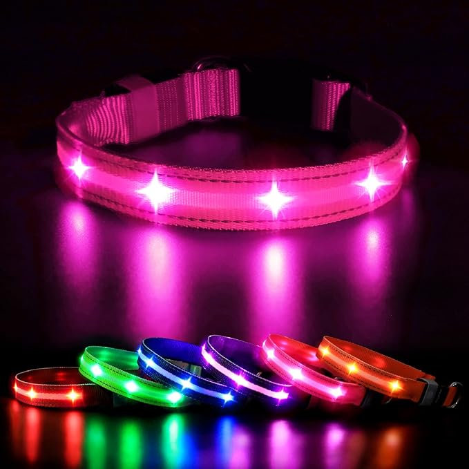 MASBRILL Rechargeable LED Dog Collar - Water-Resistant, Light Up, Flashing, Glowing for Night Safety - Adjustable Illuminated (S, Pink)