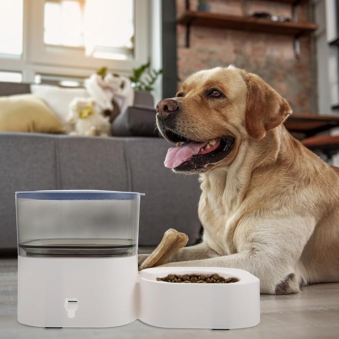 Healifty Automatic Pet Feeder Bowl with Detachable Food Container Non-Slip Blue Cat and Dog Food Dispenser Washable Household Feeding Supplies for Pets