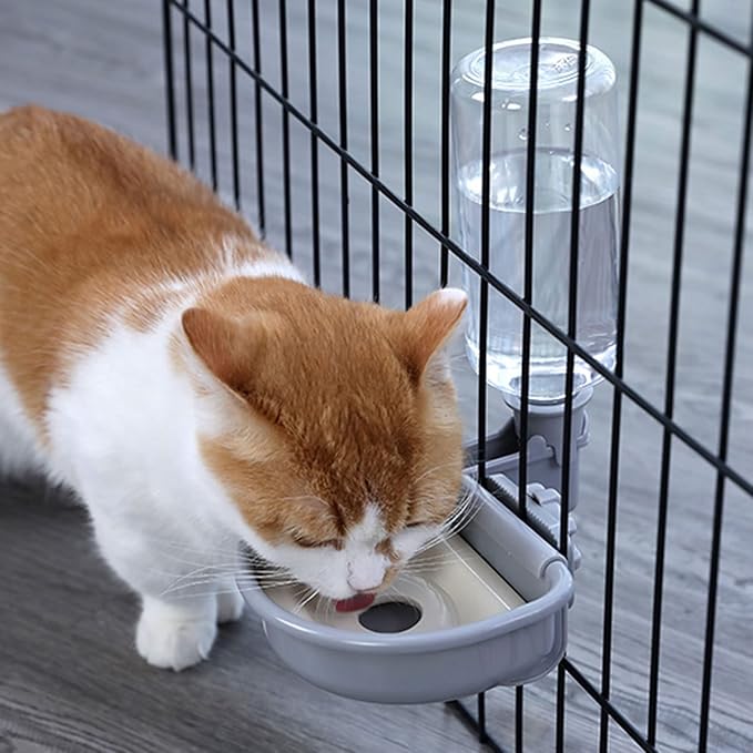 Pet Water Dispenser for Water Feeder Automatic Feed Fountain for Small Dogs Puppies Cats Easy to Hang for