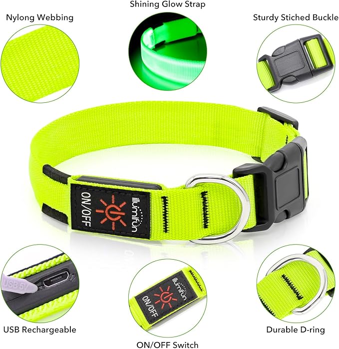 Illumifun LED Dog Collar, Light Up Dog Collar Rechargeable Glow in Dark Pet Collar Safety Dog Lights for Night Walking Camping (Green, Large)