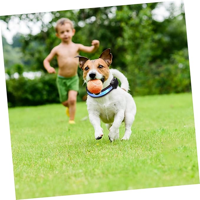 Led Glowing Dog Collar USB Rechargeable Light up Puppy Necklace Solar-Powered Pet Safety Accessory Stylish Blue s for Nighttime Visibility