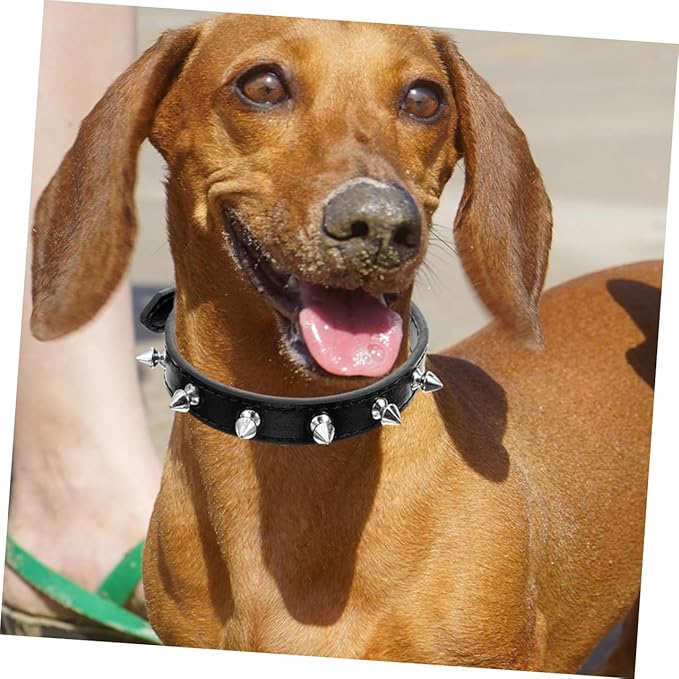 BESPORTBLE Studded Adjustable Leather Dog Collar for Medium Dogs, 2.0cm Wide Sturdy Rivet Puppy Collar for Walking and Training