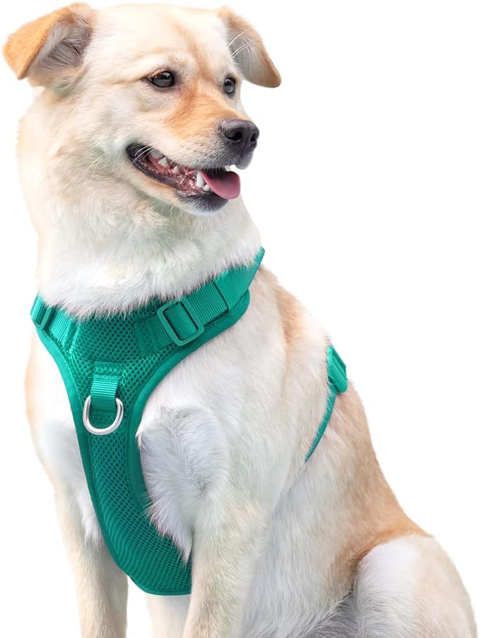 No Pull Dog Harness for Small Medium Large Dogs - Adjustable 2 Layer Mesh Dog Vest with Dual Clip, Escape Proof, Quick Release, Lightweight Breathable Mesh for Walking Hiking (MARRS Green,L)