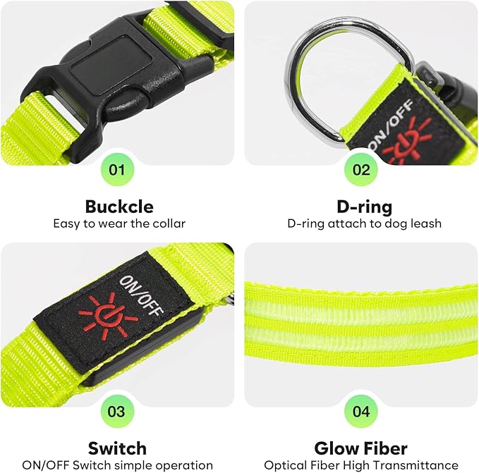 HIGO LED Dog Collar - Rechargeable Light Up Dog Collars Glow in The Dark, Flashing Dog Lights for Night Walking (Small, Green)