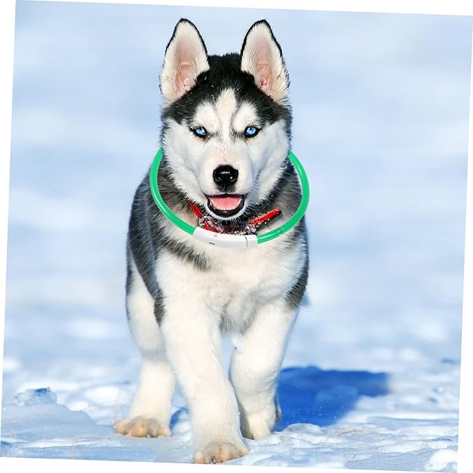 BESPORTBLE Rechargeable Led Pet Safety Collar Flashing Light up Necklace for Dogs Cats Fiber Optic Design Stylish High Visibility Dark for