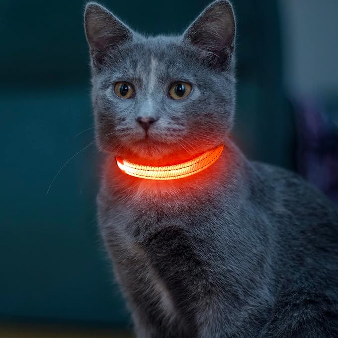 Light up Dog Collar for Small Dog,Vizpet XS Adjustable Size Nylon Collar USB Rechargeable Bright Safety Pet Collar for Cats Dogs (Orange)