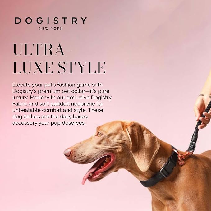 The DOGISTRY - City Collar - Black - Premium Dog Collar with Padded Neoprene & Signature Fabric - Refined Design & Everyday Luxury - Small