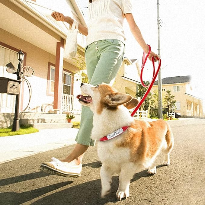 Personalized Dog Collar and Leash Padded Adjustable Customized Pet Collars and Leashes for Small Medium Dogs Cats Chihuahua Red M