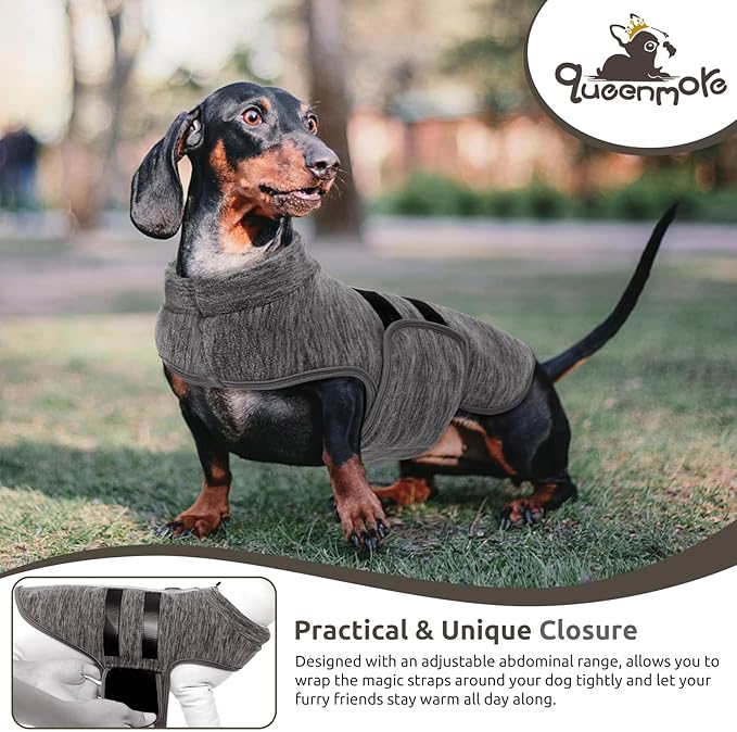 Queenmore Medium Dog Sweaters, Soft Fleece Vest Pullover Dog Jacket with Leash Hole, Warm Winter Dogs Clothes Cold Weather Doggy Dachshund Sweater for Medium Dogs Cats Boy or Girl (Cationic Gray, M)