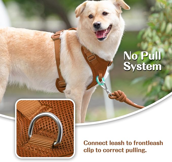 No Pull Dog Harness for Small Medium Large Dogs - Adjustable 2 Layer Mesh Dog Vest with Dual Clip, Escape Proof, Quick Release, Lightweight Breathable Mesh for Walking Hiking (Carmel Brown,XL)