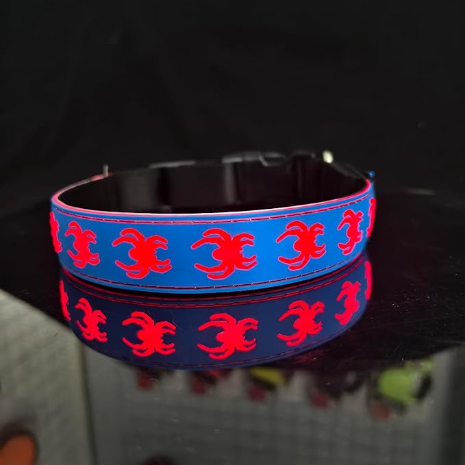 USB-C led Light up Dog Collar, 3D Design Comfortable and Soft Material,Multicolored Lighting，Night Dog Collar (SP-Blue, M(15.7-19.7"))