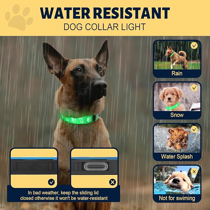 Light Up Collar for Small Dogs, 15 Glowing Modes/ 3D Design/Adjustable/Rechargeable/LED Dog Collars, Dog Collar for Night Walk, Green