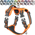 VIVAGLORY Dog Harness Easewalk No Pull Dog Harness with Handle Front Clip & Back Clip for Training Walking Lifting, No Pull Adjustable Easy On Padded Comfortable for Pet, XL, Orange - Patterned