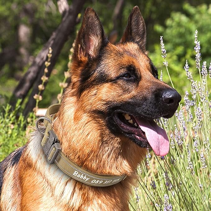 Personalized Large Dog Collar Military Tactical Dog Collar Custom Reflective Pet Collars for Medium Large Dogs German Shepard Yellow XL
