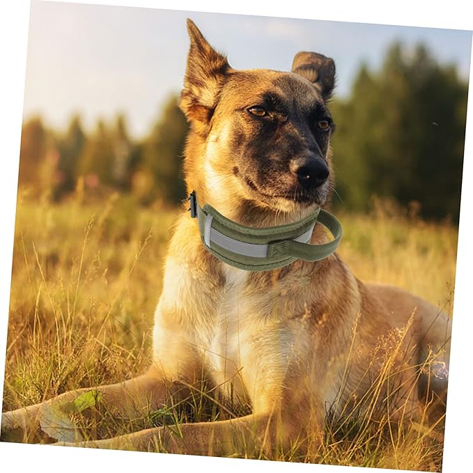 Happyyami Adjustable Reflective Pet Collar for for for Outdoor Use and Pet Photo Shoots