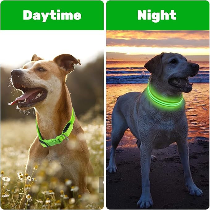 Geekman LED Dog Collar, LED Glow Collar with USB Rechargeable, Comfortable Adjustable Soft Mesh Safety Dog Collar for Dogs(Medium, Green)