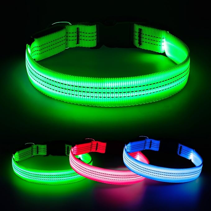 Light Up Dog Collars - USB Rechargeable Reflective LED Dog Collar, Water-Resistant Glow Pet Collar Lights for Night Walking Camping (Green, Medium)