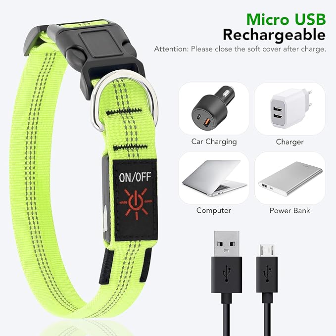 Weesiber Light Up Dog Collars - Rechargeable LED Collar - Reflective Adjustable Dog Lights for Night Walking (Green, Large Collar)
