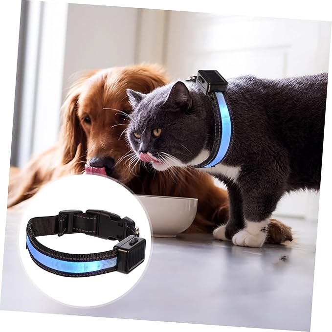 VOSAREA Glowing Dog Collar Bright Modes Rechargeable Led Collar for Pets Puppy Easy Release Buckle