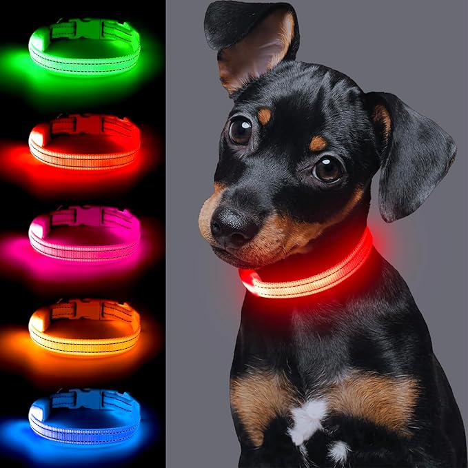 Light up Dog Collar for Small Dog,Vizpet XS Adjustable Size Nylon Collar USB Rechargeable Bright Safety Pet Collar for Cats Dogs (Red，XS)