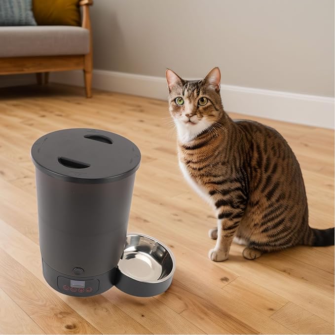 HEEPDD 3L Automatic Cat Feeder, Large Capacity Pet Food Dispenser Timed Dog Feeders with Stainless Steel Bowl Dual Power Supply for Pets Cats Dogs (Black Single Bowl)