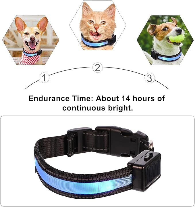 LED Solar Rechargeable Dog Collar, Blue S Size Glowing Light up Puppy Collar for Night Safety and Outdoor Use