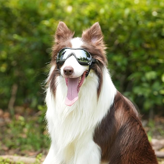 Dog Goggles UV400 Protection, Ski Goggles for Medium to Large Breeds with Adjustable Strap, Dog Sunglasses with Wide Snout & Soft PVC Frame - UV-Resistant/Snowproof for Ski,Cycling (Black)