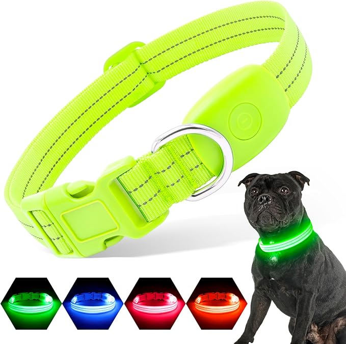 Light Up Dog Collars Rechargeable, Reflective LED Glow Dark Dog Collar for Small Medium Large Dogs, Adjustable Pet Dog Lights for Safe Night Walk-Green, Small