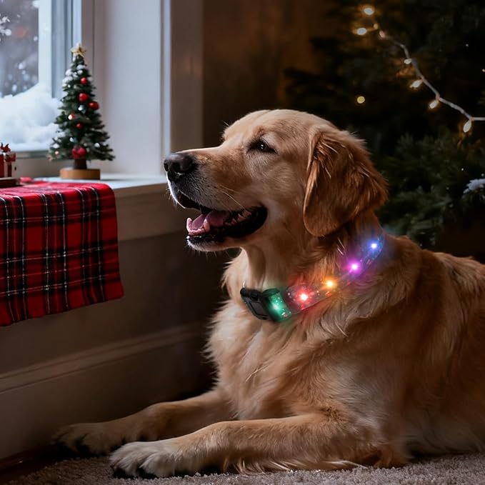 Christmas Light Up Dog Collar, LED Dog Collar Glow in The Dark - USBC Rechargeable, 3 Flashing Modes, Fashionable Cute Glowing Dog Light Up Collars for Medium Large Dogs, Stocking M