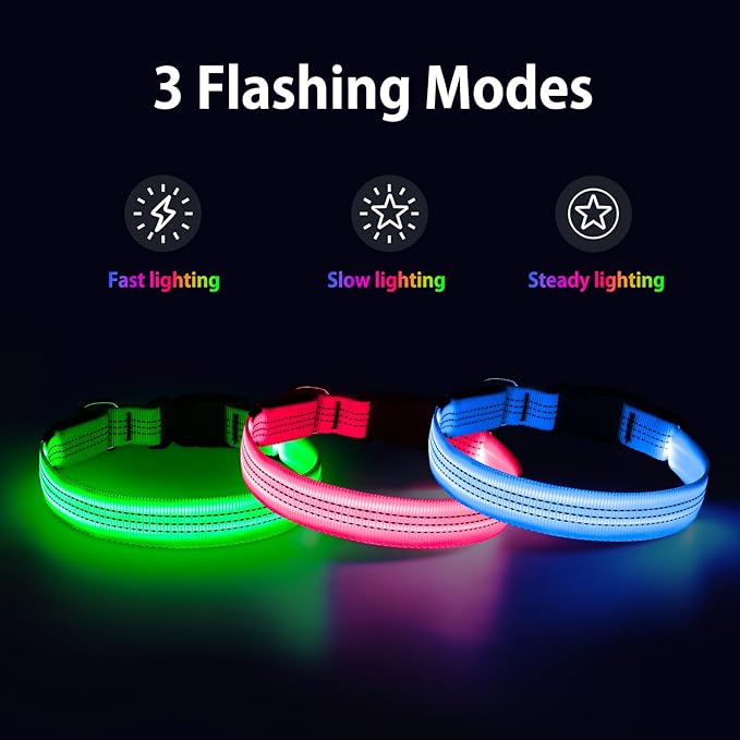 LED Dog Collar, Rechargeable Light Up Dog Collars Glow in The Dark, Adjustable Waterproof Collar Light for Medium Dogs (Blue, M)