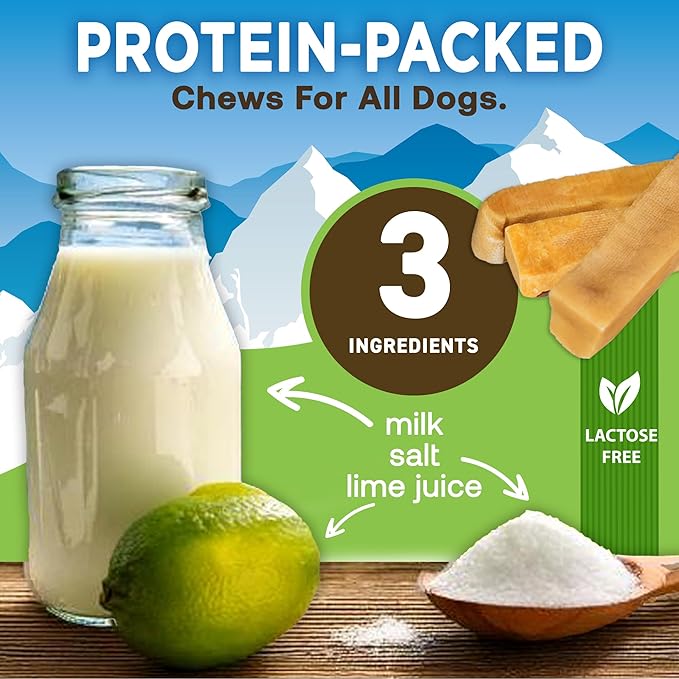 EcoKind Pet Treats Gold Himalayan Yak Cheese Medium Dog Chew | Great Treats for Dogs, Indoors & Outdoor Use - 3 Medium Chews