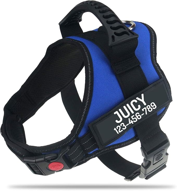 Personalized No Pull Dog Harness with Custom Name and Phone Number by PawPawify, Heavy Duty Pet Vest to Prevent Tugging, Pulling, or Choking, Training and Walking XXL Chest 33-46in Blue