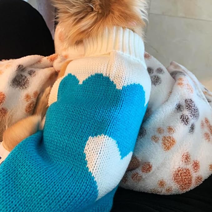 CHBORCHICEN Pet Dog Sweaters Classic Knitwear Turtleneck Winter Warm Puppy Clothing Cut Strawberry and Heart Doggie Sweater (Sky Blue, Medium)