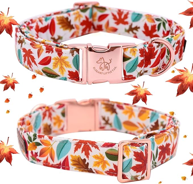 Elegant little tail Fall Dog Collar, Autumn Leaves Pet Collar Durable Dog Collars Male or Female Holiday Pet Gift Adjustable Dog Collar for Small Dogs
