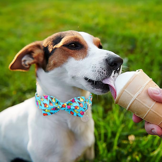 Summer Dog Collar with Bow Tie, Cotton Cute Bowtie Dog Collar, Summer Bowtie Collar for Small Boy Girl Dog, Comfortable Blue Dog Collar with Metal Buckle, S