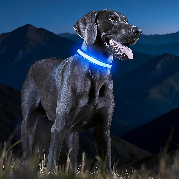 LED Dog Collar, Light Up Dog Collar Adjustable USB Rechargeable High Visibility Dog Light Glowing Pet Collars for Small Medium Large Dogs (Blue, M)