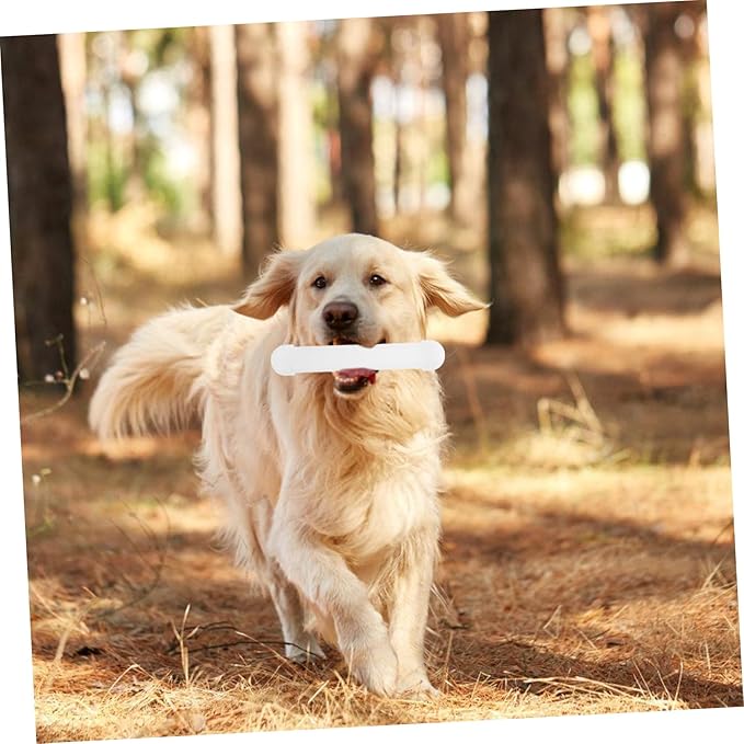 Dog Scent Training Stick Essential Tool for Nose Work Agility Training and Scent Games Supplies
