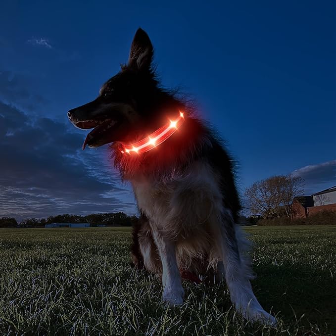 MASBRILL Light Up Dog Collars-RGB Led Collar for Dogs Rechargeable Lighted Dog Collar Water-Resistant Colorful Glow in The Dark Dog Collars for Night Walking