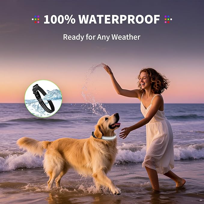 PetIsay Dog Light up Collar for Night Walking - High Visibility LED Dog Collar - Rechargeable - Waterproof - Reflective - Adjustable Lighted Glow Collars(White,XLarge)