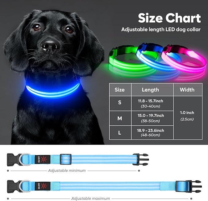 Light Up Dog Collar - Rechargeable LED Dog Collar Light Glow in The Dark Puppy Collar, Dog Camping Gear Adjustable Dog Collars for Small Dogs(Small, Blue)