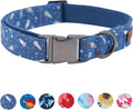 Elegant little tail Dog Collar, Blue Universe Pattern Pet Collar Durable Cute Dog Collars Male Pet Gift Adjustable Dog Collar for Medium Dogs