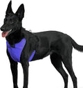 YAP Techno® No Pull Harness Medium Size Dog, 4-Way Adjustable, Temperature Controlled Pet Vest Harness, No Choke Dog Harness with Easy Control Handle for All Breeds; 25-45 lbs (Royal Purple, Medium)